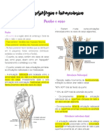 Cinesiologia e Biomecã Nica Do Punho e Da Mã o