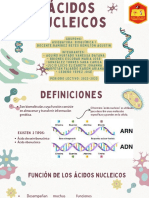 Acidos Nucleicos