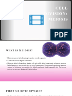 Cell CYCLE - Meiosis