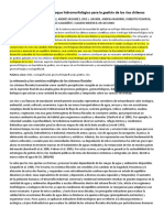 La Necesidad de Un Enfoque Hidromorfológico para La Gestión de Los Ríos Chilenos