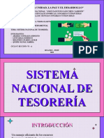 Sistema Nacional de Tesoreria