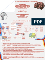 Mapa Conceptual de Organización Funcional Del Cerebro