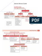 KDT Only Classifications