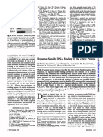 1990 - Sequence-Specific DNA Binding by The C-Myc Protein