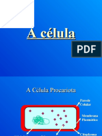 Células