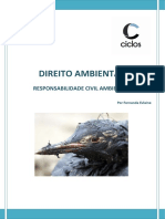 4 Responsabilidade Civil Ambiental 25