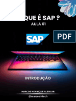 E-Book Aula 01 - o Que É Sap