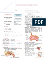 Anatomía y Fisiología de Trompa de Eustaquio