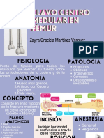 Clavo Centro Medular Femur Zayra