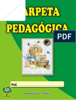 Carpeta Pedagógica