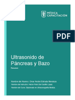 Formato de Tarea - Resumen Ultrasonido de Páncreas y Bazo