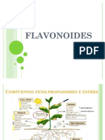 QPN - Flavonoides