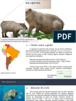 Motivos para Se Ter Uma Capivara.