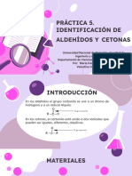 Práctica 5. Identificación de Aldehídos y Cetonas