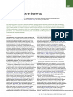 Regulatory RNAs in Bacteria