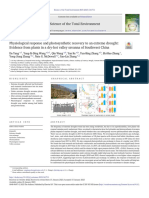 Physiological Response and Photosynthetic Recovery To An Extreme Drought