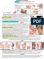 2.-Cuidados Gineco-Obstétricos