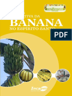 Livro CadeiaProdutivaBanana ES Incaper