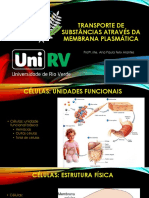 Aula Fisiologia - 2 Transporte de Substâncias Através Da Membrana