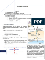 Tema 1 BQ Examen