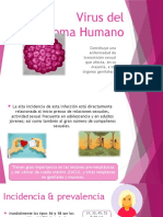 Virus Del Papiloma Humano