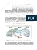 Bacterias y Cyanophyceae