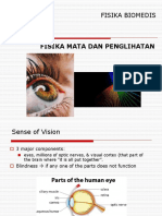 Fisika Mata Dan Penglihatan