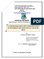 L'exploitation Économique Des Enfant en Ville de DENI