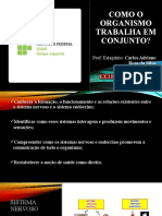 Como o Organismo Trabalha em Conjunto - Estágio Regência