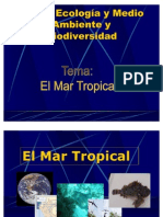 Mar Tropical