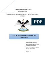 Cuestionario Capa de Ozono y Contaminacion Industrial Diego Dodrigo Martinez Sanga