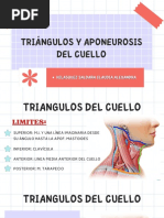 Triangulos Del Cuello y Aponeurosis