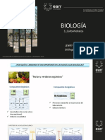 3 - Carbohidratos - Merged