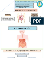 Cambios Digestivos en El Puerperio