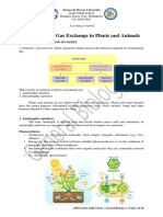 Topic 1 - Gas Exchange in Plants and Animals