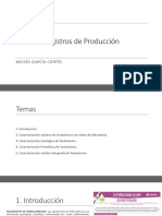 Registros de Produccion