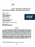 Experimental Culture and Particle Filtration by Asian Moon Scallops, Amusium Pleuronectes