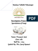 Sporulation of Fungi