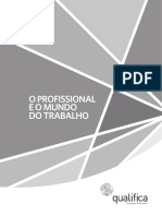 Qualifica 1 - o Profissional e o Mundo Do Trabalho