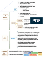 Esquema Caracteristicas de Vertebrados