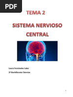 Bases Biologicas de La Conducta y El Pensamiento. SNC. Laura Fernandez Lobo