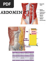 ABDOMEN