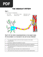 Bryan Fuentes - Chapter 8 Neuron Practice - Packet