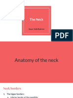 The Neck 2