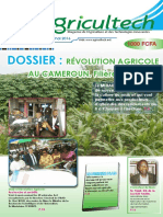 Dossier:: Révolution Agricole AU CAMEROUN. Filière Maïs