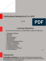 Carbhydrate Metabolims 