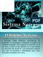 Sistema Nervoso Geral