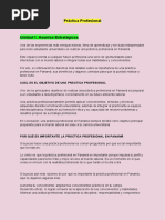 Desarrollo Unidad 1 y 2 Práctica Profesional