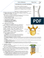 Tema 4 Columna Vertebral