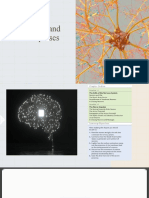 Chapter 1 Nerve Cells and Nerve Impulses 2